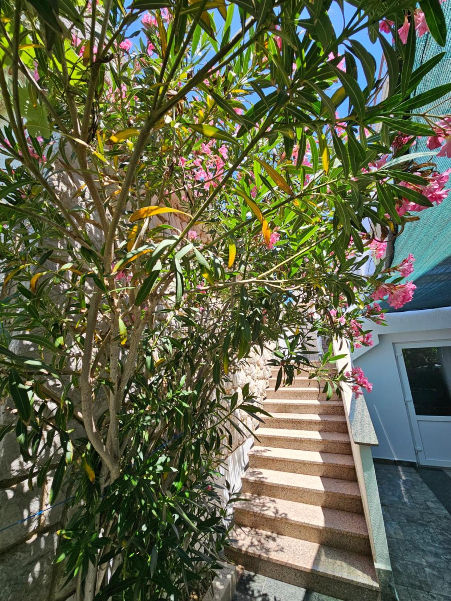 Apartments Bahar Krk Krk Town Extérieur photo